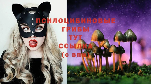 каннабис Арсеньев