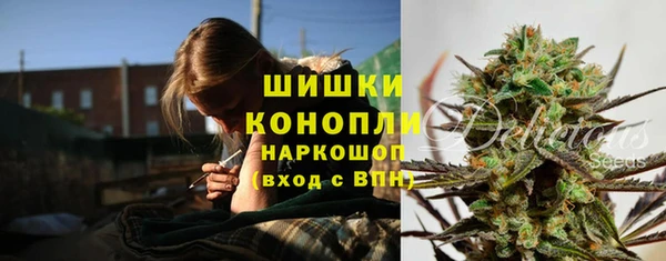 Альфа ПВП Аркадак