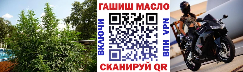 ТГК Wax  Сольвычегодск 